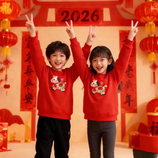 F012818马年重工刺绣马上有福拜年服加绒卫衣 商品图4