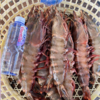 &  虾中巨擘！特大红爪虾🦐带膏，肉质紧实，鲜甜，少量货‼【活冻】 商品缩略图6