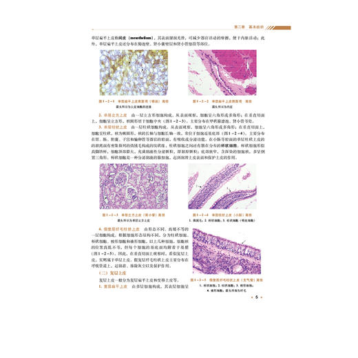 人体解剖生理学 全国高等中医药院校学历继续教育规划教材 朱大诚 楼航芳 主编 供药学 中药学 护理类等专业用 中国医药科技出版社 商品图4