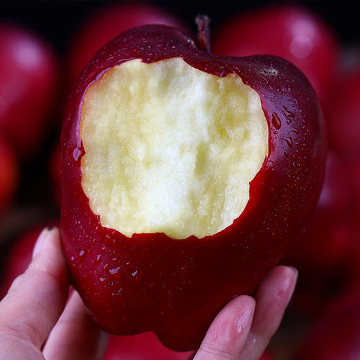 甘肃天水花牛苹果 清甜爽口 颜值爆表 可媲美蛇果 耀眼中国红 商品图5