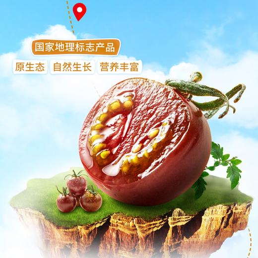 【大漠紫光高台黑番茄原浆】原汁原味家中常备天然好喝 纯原浆无添加 商品图3