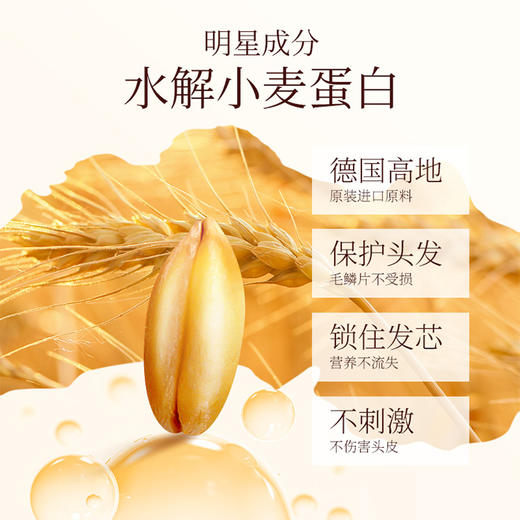 【买即赠发膜】圣诗婷经典染发剂，植物无氨，健康遮白，染护一体，染发剂中的爱马仕！ 商品图11