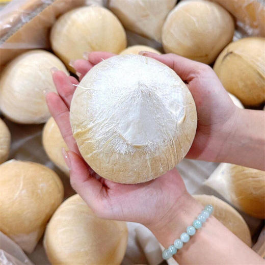 【海南椰皇】（送吸管）椰香浓郁，果肉厚实 商品图0