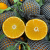 【甜蜜年礼】新鲜水果礼盒 爱媛果冻橙礼盒 带箱9斤左右 商品缩略图4