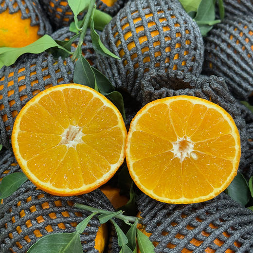 【甜蜜年礼】新鲜水果礼盒 爱媛果冻橙礼盒 带箱9斤左右 商品图4