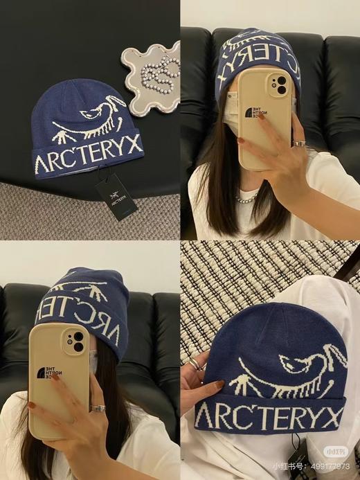 MZ22-秋冬潮人标配 始祖鸟冷帽五色（CO） 商品图14