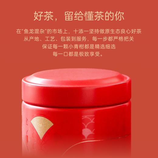 『十添一』果真香普洱茶陈皮之乡新会小青柑云南熟普洱250g茶叶礼盒送人长辈 商品图5