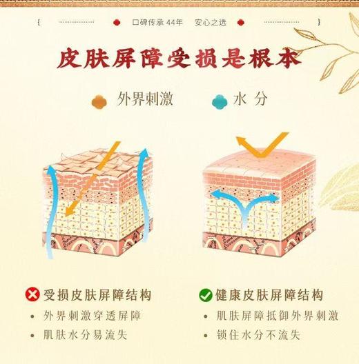 春娟养颜霜50g-9262 选自川西高原优质黄芪 紧致抗皱 脸蛋砰又紧 素颜好气色 商品图8