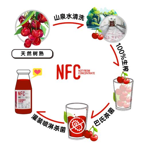 爱樱维NFC生榨樱桃汁【山东必买好品】 商品图4