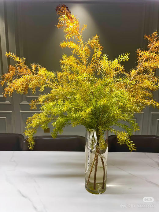 【千层金 】原色 若干枝/扎（秋冬季颜色偏秋色） 商品图10