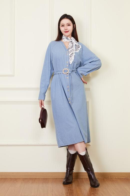 LNNNS 气质通勤复古V领牛仔连衣裙 22238 商品图3