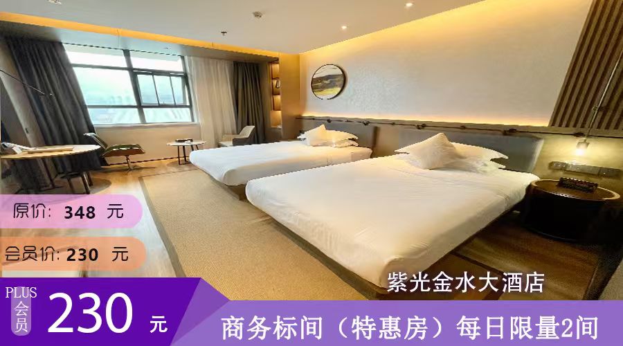 紫光金水大酒店商务标间（特惠房）