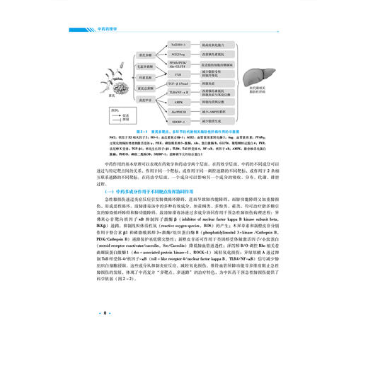 中药药理学 全国高等中医药院校学历继续教育规划教材 高建平 方芳 主编 供中药学 中医学 中医养生学等专业用 中国医药科技出版社 商品图4