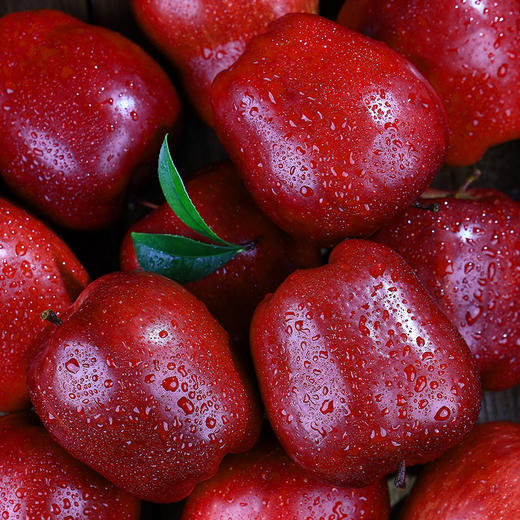 甘肃天水花牛苹果 清甜爽口 颜值爆表 可媲美蛇果 耀眼中国红 商品图8