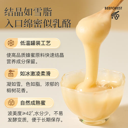 森蜂园长白山紫椴原蜜（金标）1kg 商品图1