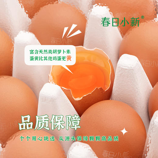 春日小新可生食鲜鸡蛋【山东必买好品】 商品图8