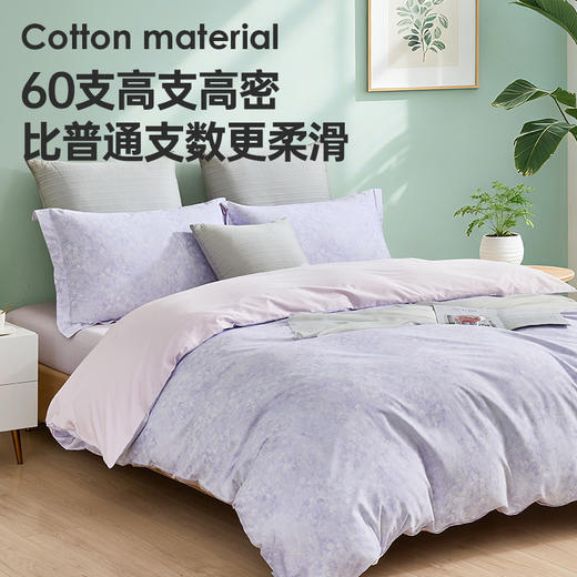 60支长绒棉印花拆件(觅远) 商品图3