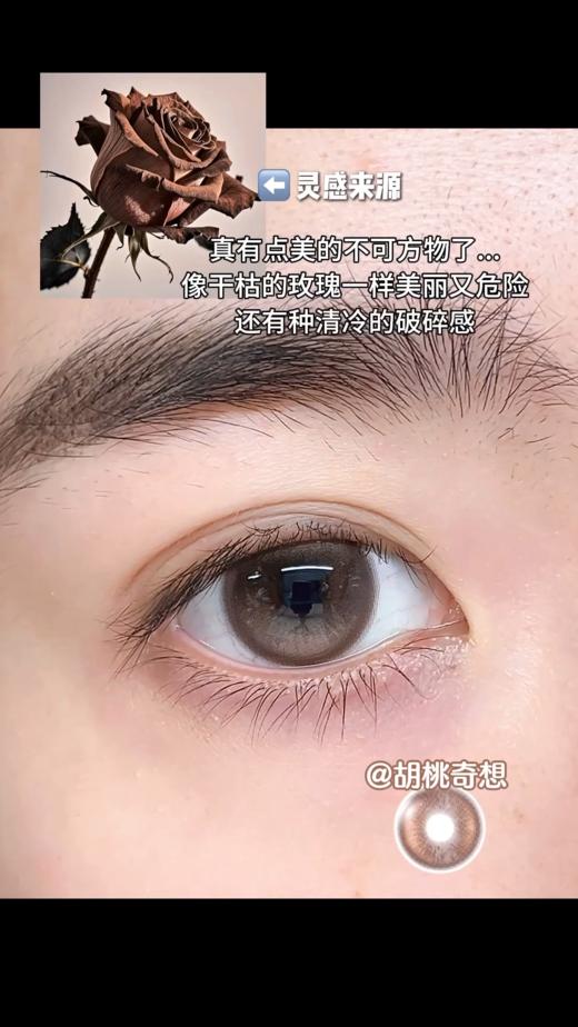 Bollycon日抛 胡桃奇想 棕/丹宁普鲁士 蓝 14.5mm 一盒十片装 日抛无售后！！ 商品图7