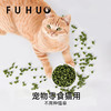 【爆款热卖】俘获益生菌猫草粒冻干猫咪零食助排毛车前子 商品缩略图2