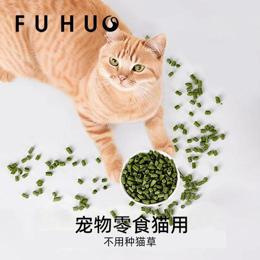 【爆款热卖】俘获益生菌猫草粒冻干猫咪零食助排毛车前子 商品图2