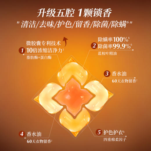 【新年限定】绽家香水油 5腔香氛洗衣凝珠 持久留香60天除菌除螨 商品图6