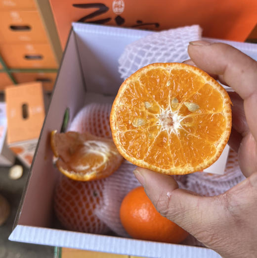 云南 虎柑 口感细腻 纯甜无酸 🍊柑橘味浓郁 ）29.9/件 礼盒🎁装 大果 5斤 商品图6