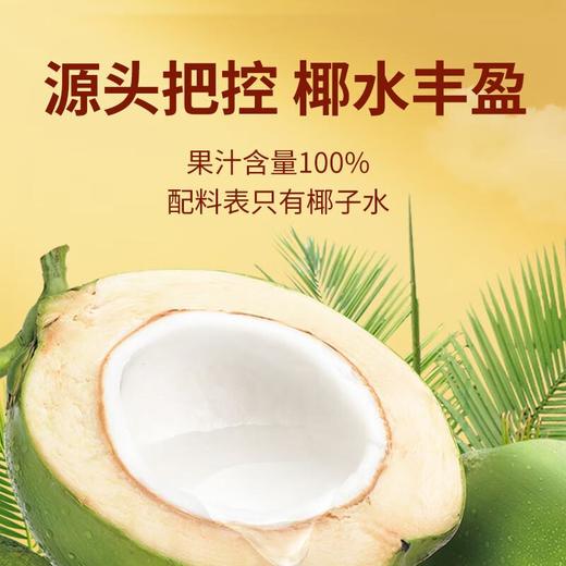 尖派 NFC椰子水 246ml*4/组 商品图5