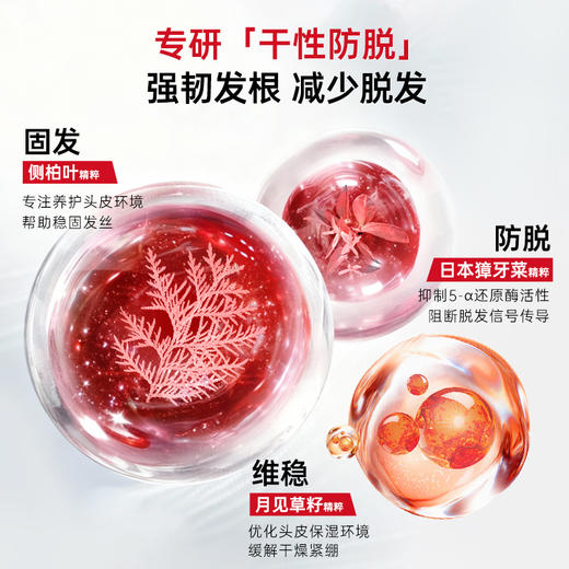 卡蓓诺洗发水 商品图1