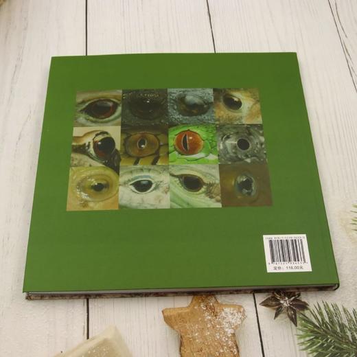 大盘山两栖爬行动物 &3453 商品图5