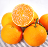 【甜蜜年礼】新鲜水果礼盒 爱媛果冻橙礼盒 带箱9斤左右 商品缩略图1