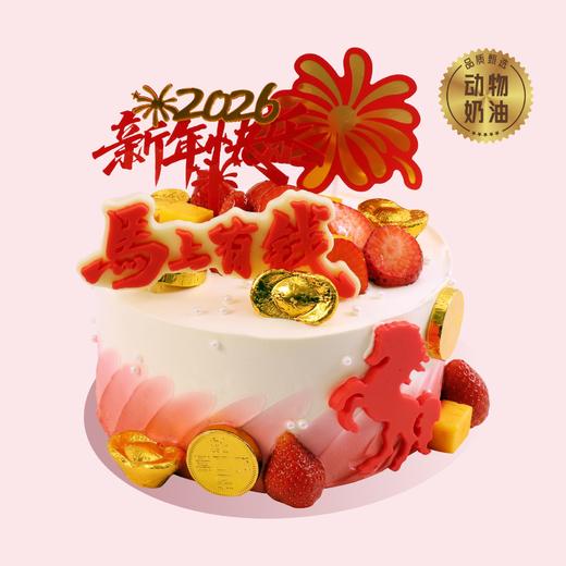 马上有钱 商品图0