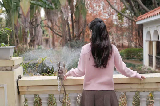 鸢尾探影|法式复古印花半裙 商品图1