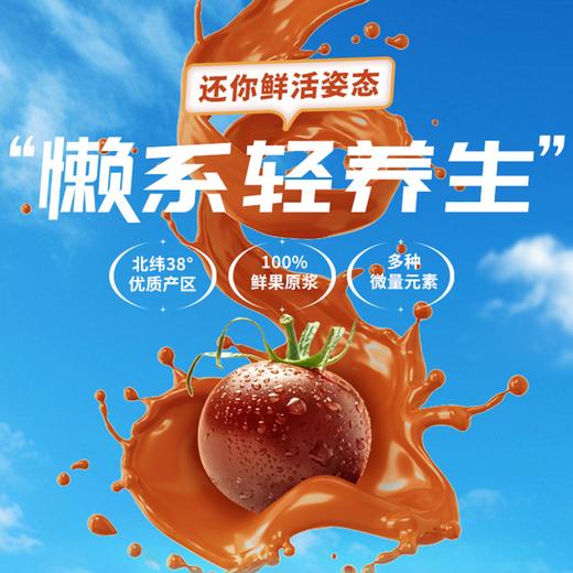 【大漠紫光高台黑番茄原浆】原汁原味家中常备天然好喝 纯原浆无添加 商品图2
