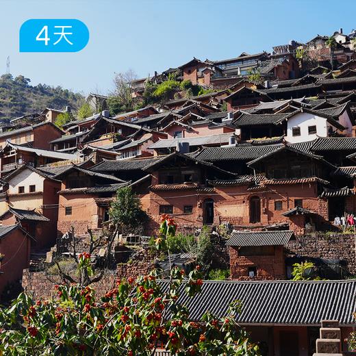 山野映红 ·万亩马缨杜鹃之春｜大理马缨花徒步露营 · 盐马古道 · 诺邓千年古村 4 日 商品图2