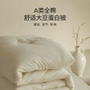 大豆被空调被子被芯春秋被加厚冬被四季通用保暖冬季 商品缩略图0