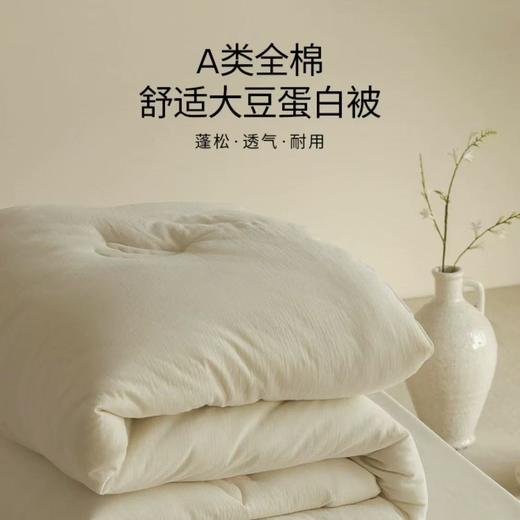 大豆被空调被子被芯春秋被加厚冬被四季通用保暖冬季 商品图0