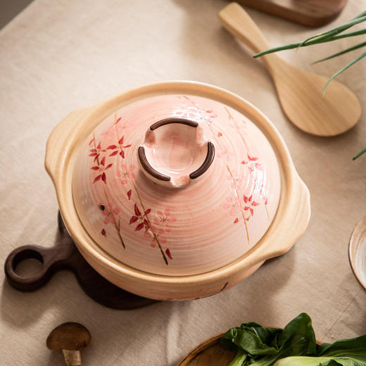 【更高烧制标准】万土烧 花见土锅 家用煲汤锅砂锅小炖锅煮粥炖肉 高温燃气灶明火 商品图3