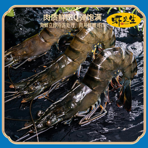 【虾先生】虾先生黑虎虾净重约500g/盒（仅发广东省内） 商品图1