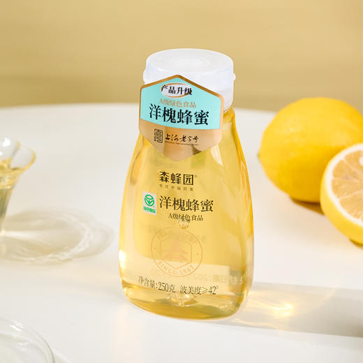 森蜂园-洋槐蜂蜜挤压装250g（绿色食品） 商品图4