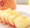 自营-晋地特产苹果 昼夜温差足 酸甜适中口感佳 商品缩略图2