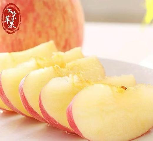 自营-晋地特产苹果 昼夜温差足 酸甜适中口感佳 商品图2