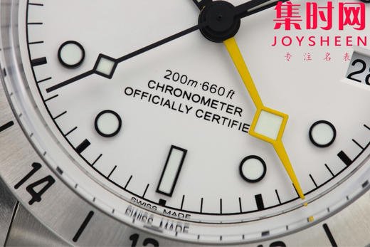 ZF帝舵碧湾系列专业型M79470 男士腕表 表径39mm 以时光为翼 赴天地之约 商品图4