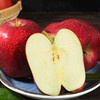 甘肃天水花牛苹果 清甜爽口 颜值爆表 可媲美蛇果 耀眼中国红 商品缩略图3