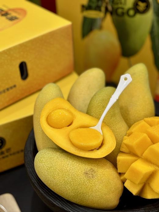 吃海芒芒 ｜即食金芒 商品图2