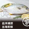 东海渔场F贵品3588型（冻品礼盒）实物 商品缩略图1