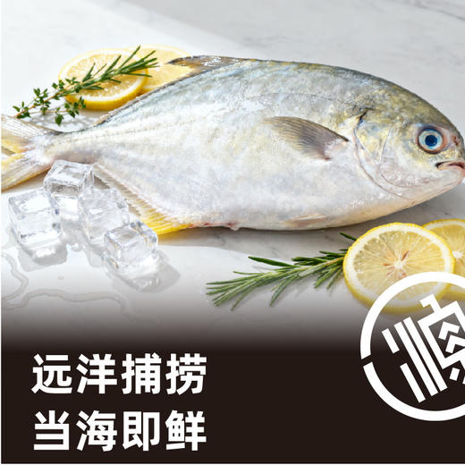 东海渔场F贵品3588型（冻品礼盒）实物 商品图1