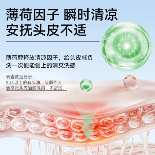 满婷专研去屑洗发水200ml——不参与满赠满减 商品图4