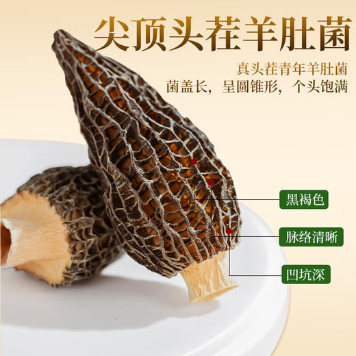 珍悉羊肚菌礼盒 山珍菌菇四拼装368克菌菇礼盒 礼品送礼送父母送长辈 商品图4