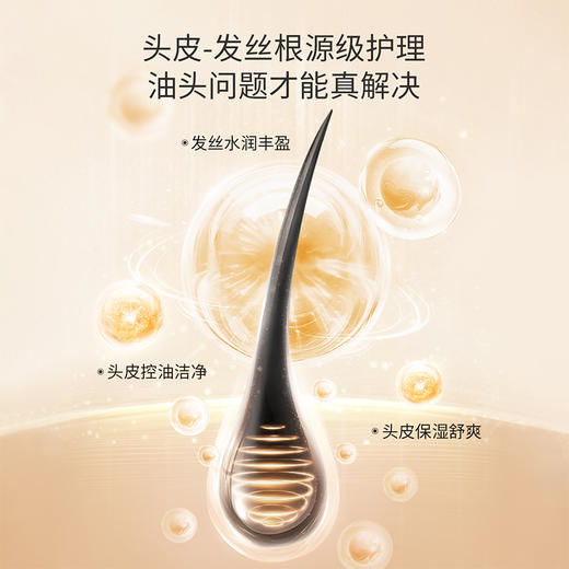 【控油洗发露】油头星人必备！茶籽控油 调理头皮健康 蓬松发丝 茶籽清爽控油洗发露300g（控油） 商品图2