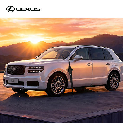 翎羽-世极专属长伞 商品图4